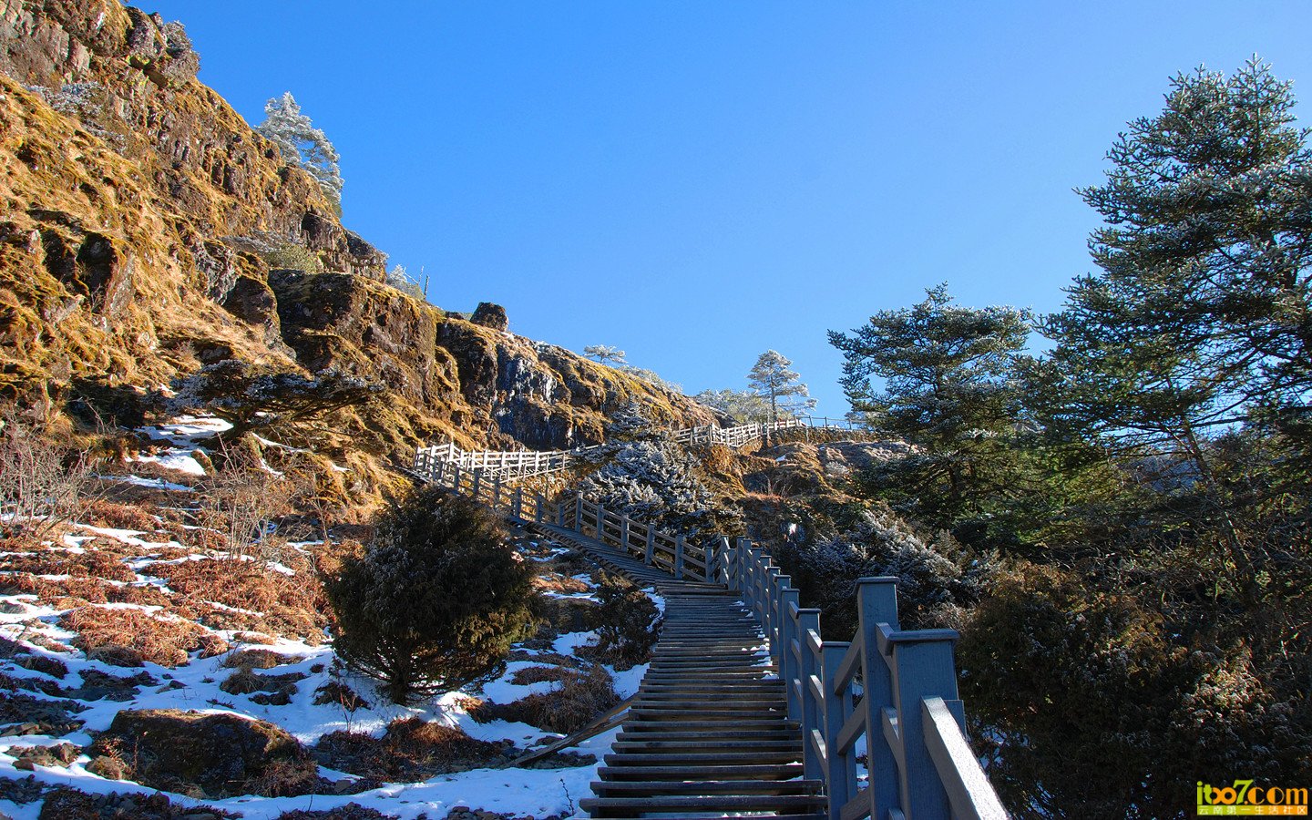 禄劝 轿子雪山 376_副本_副本.jpg