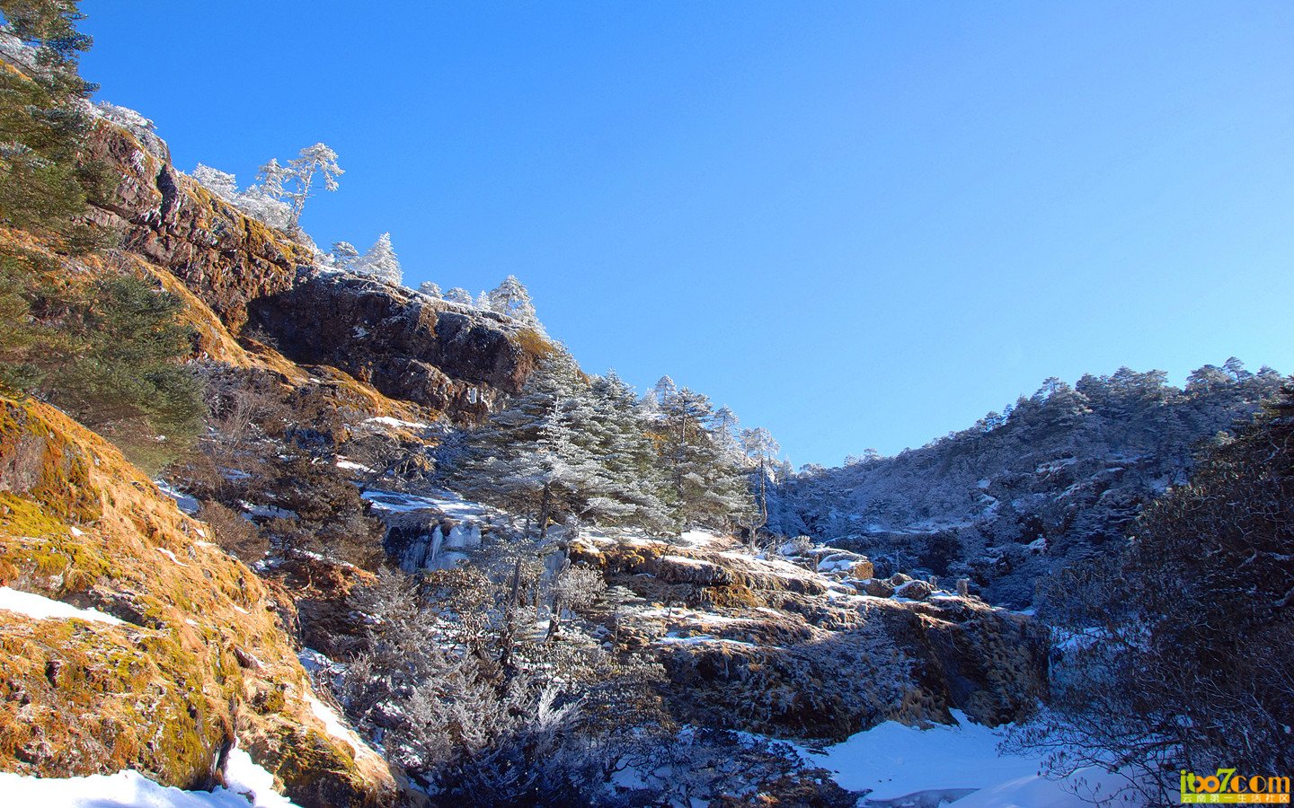 禄劝 轿子雪山 409_副本_副本.jpg
