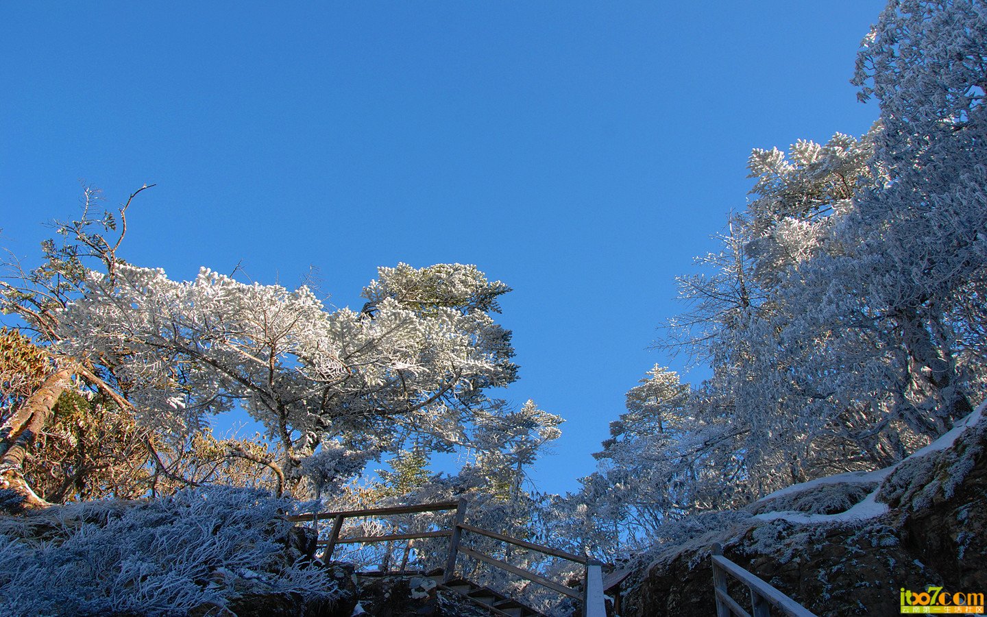 禄劝 轿子雪山 440_副本_副本.jpg
