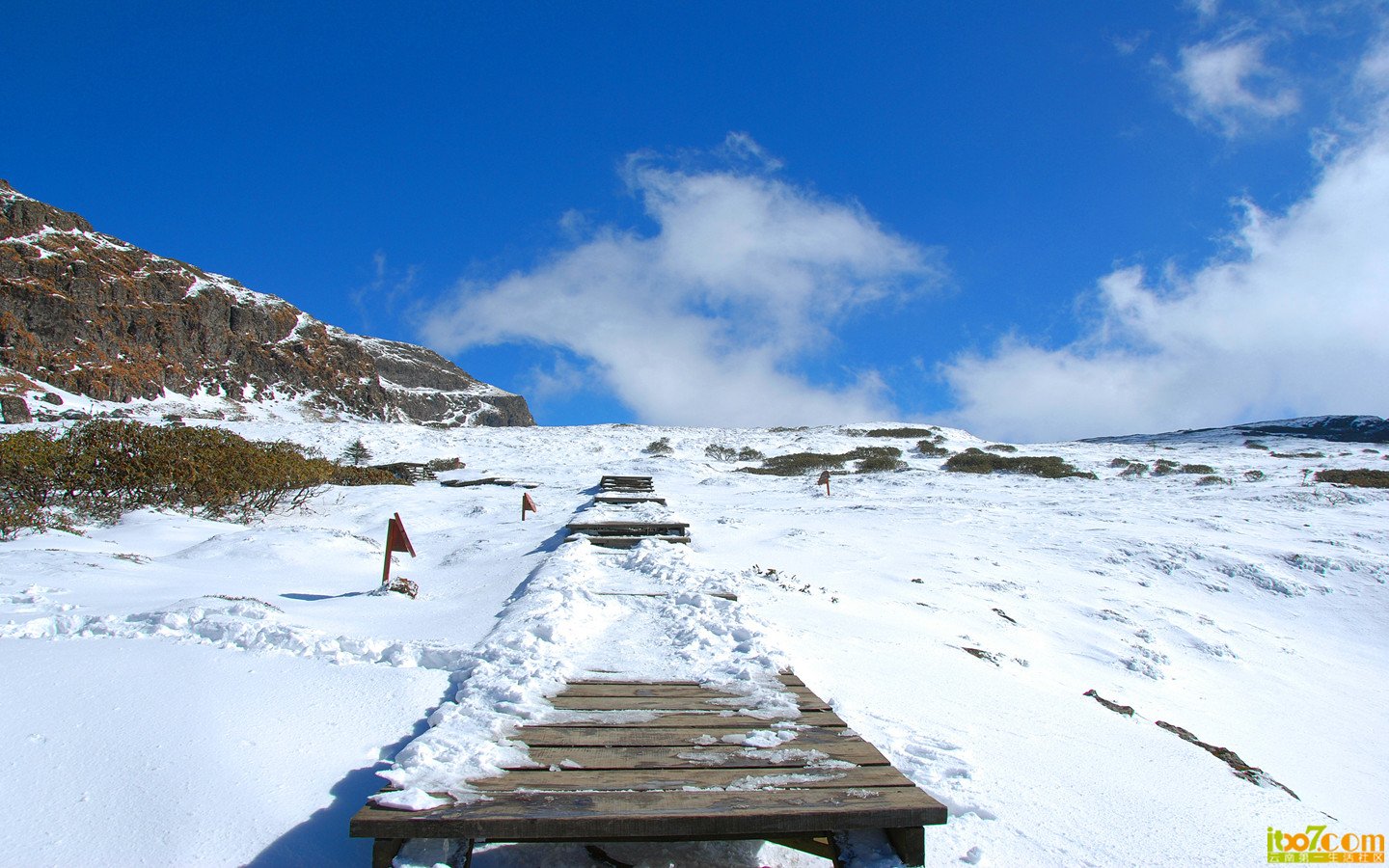 禄劝 轿子雪山 726_副本_副本.jpg