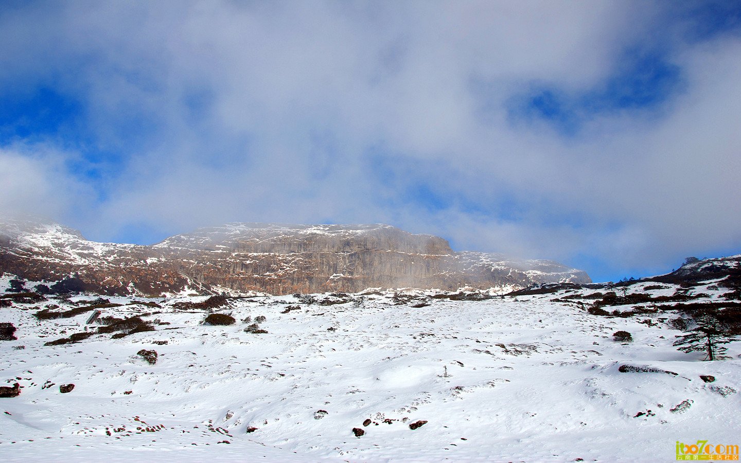 禄劝 轿子雪山 861_副本_副本.jpg