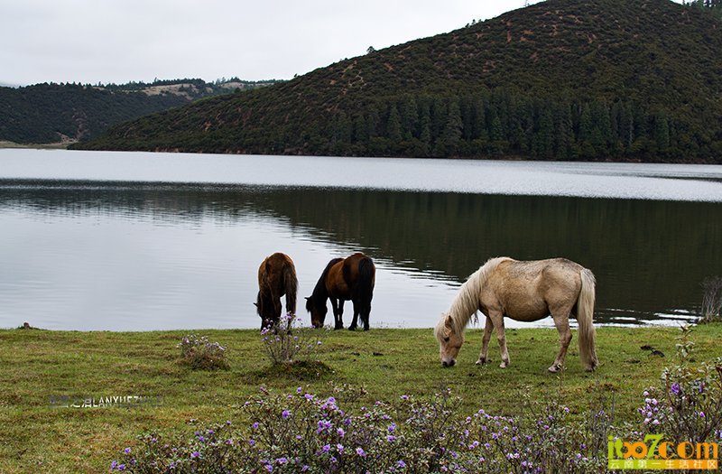 DSC_3713.jpg