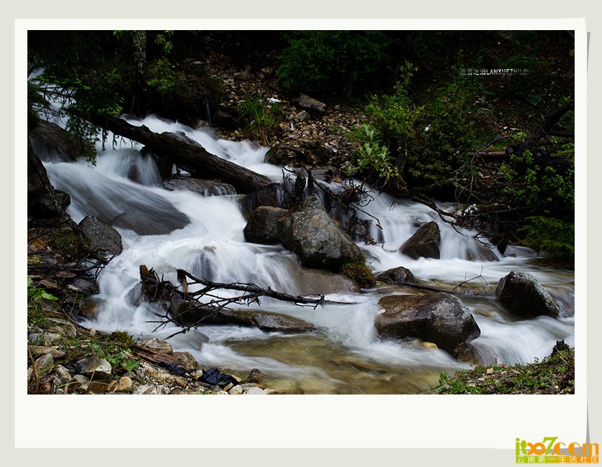 DSC_3926.jpg