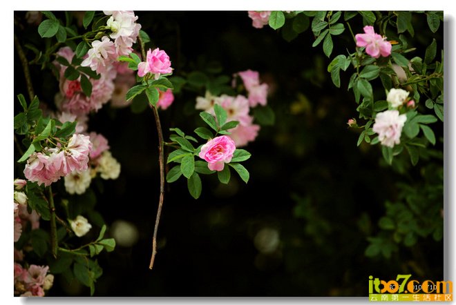 5d243d14x904a8aff27ac&690&690.jpg