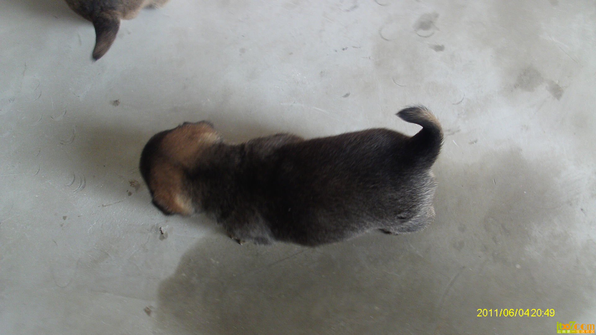 IMAG0292.JPG