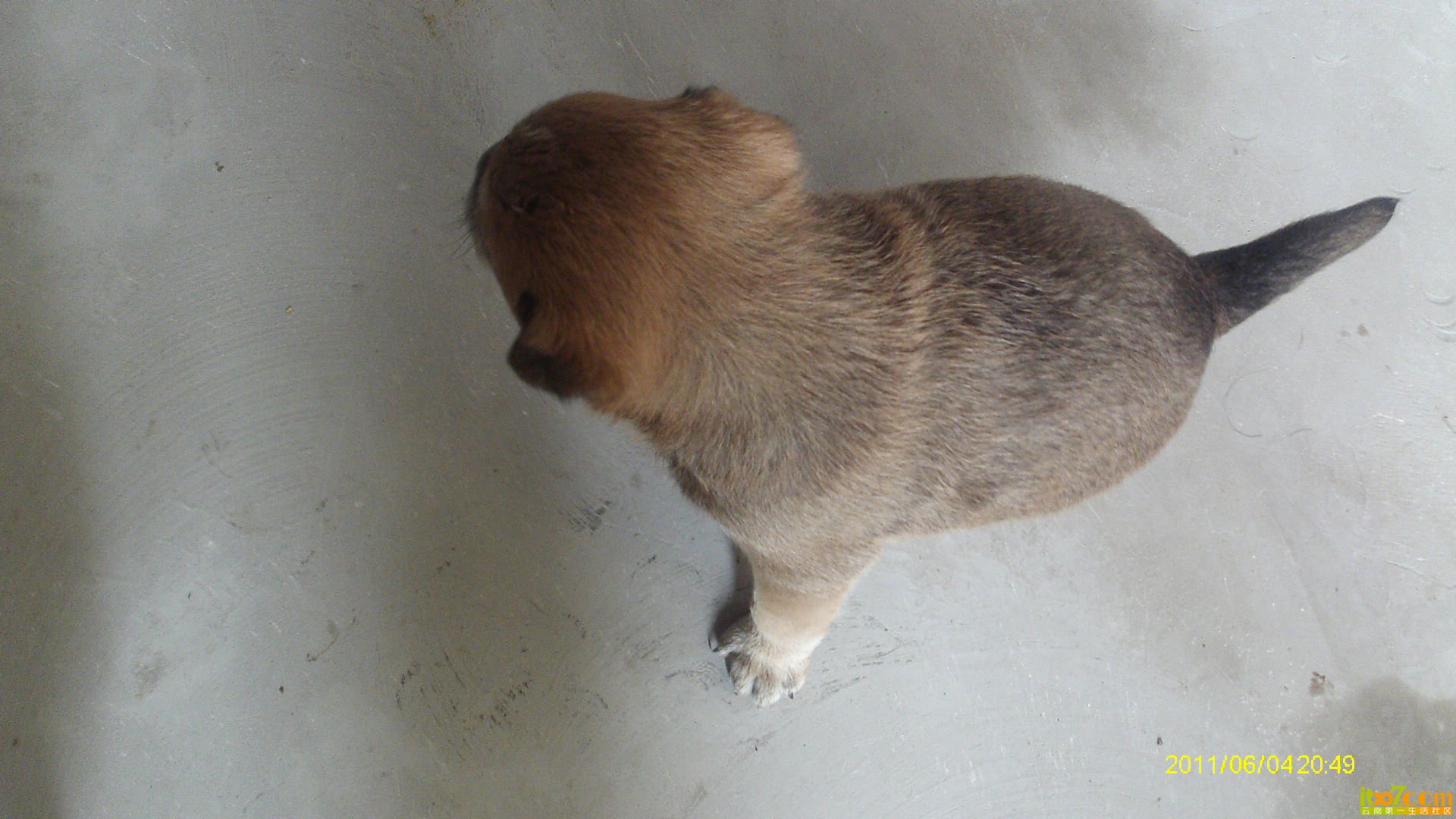 IMAG0289.JPG