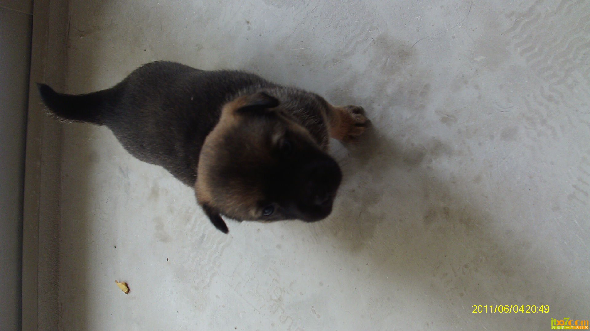 IMAG0290.JPG