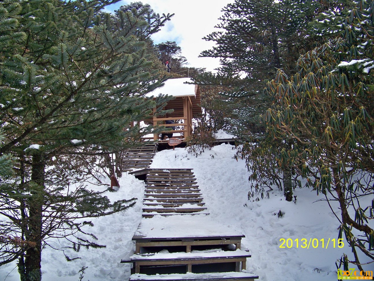 100_5960.JPG
