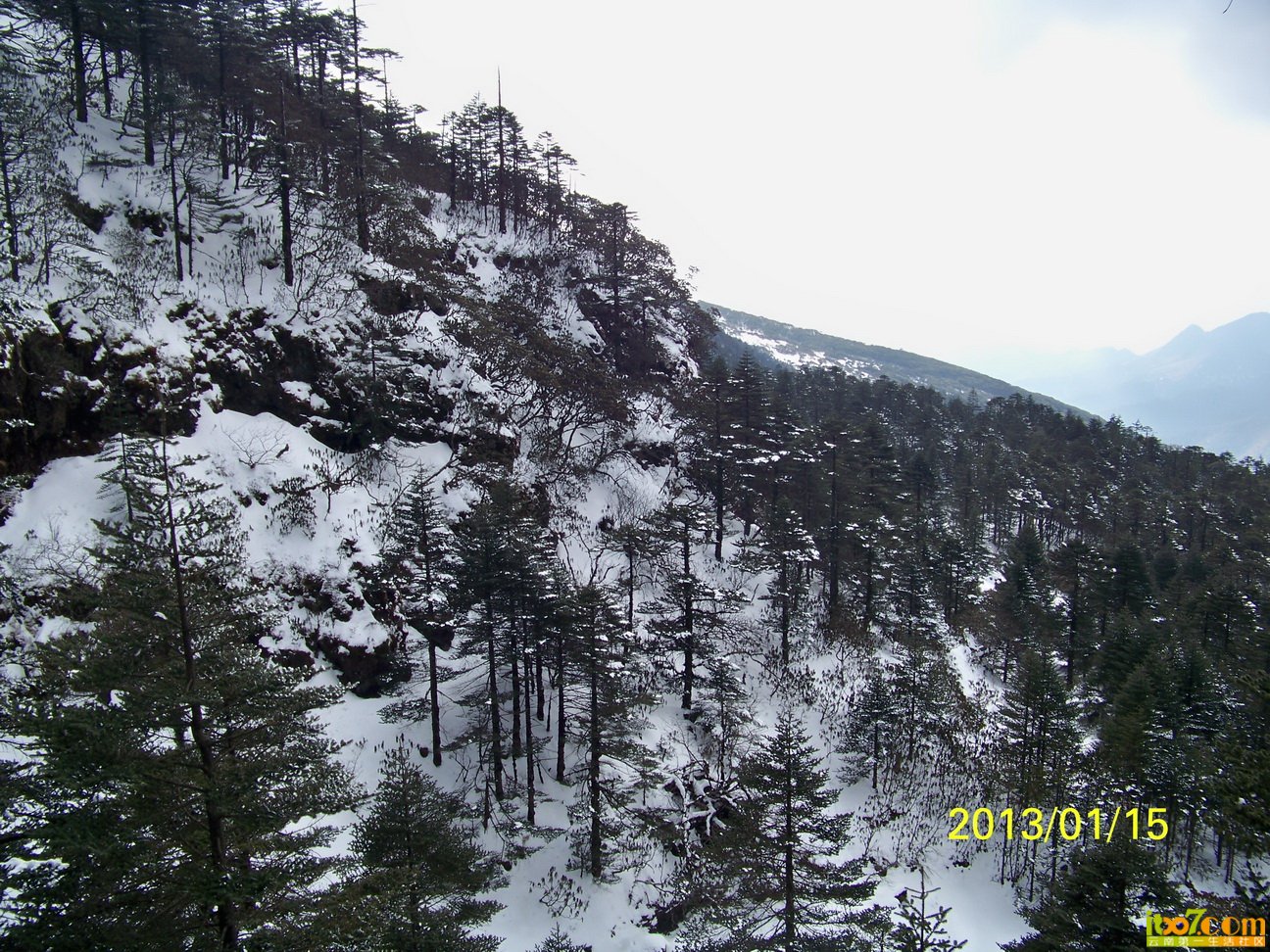 100_5984.JPG