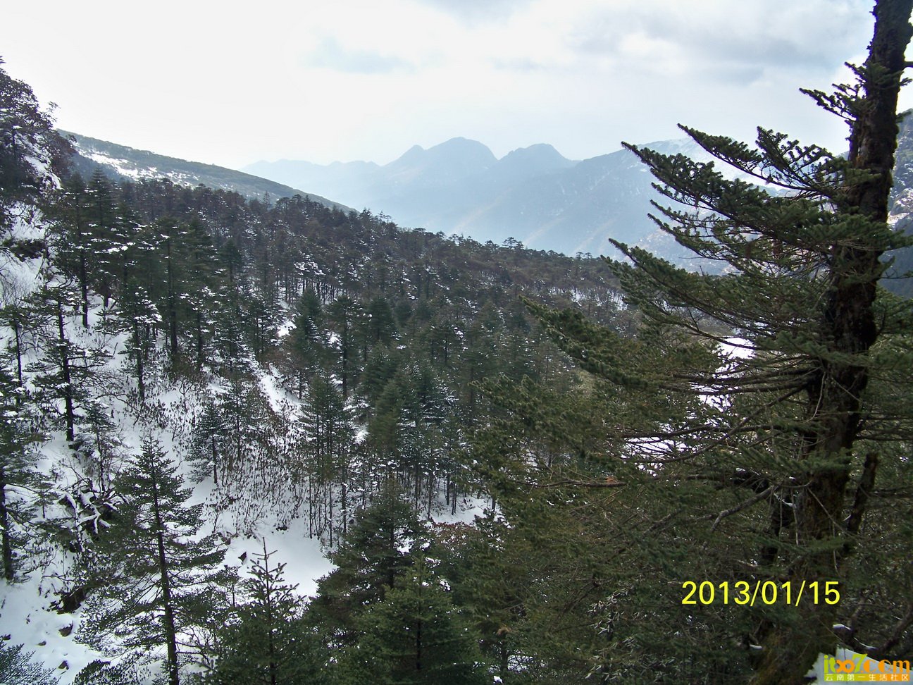 100_5985.JPG
