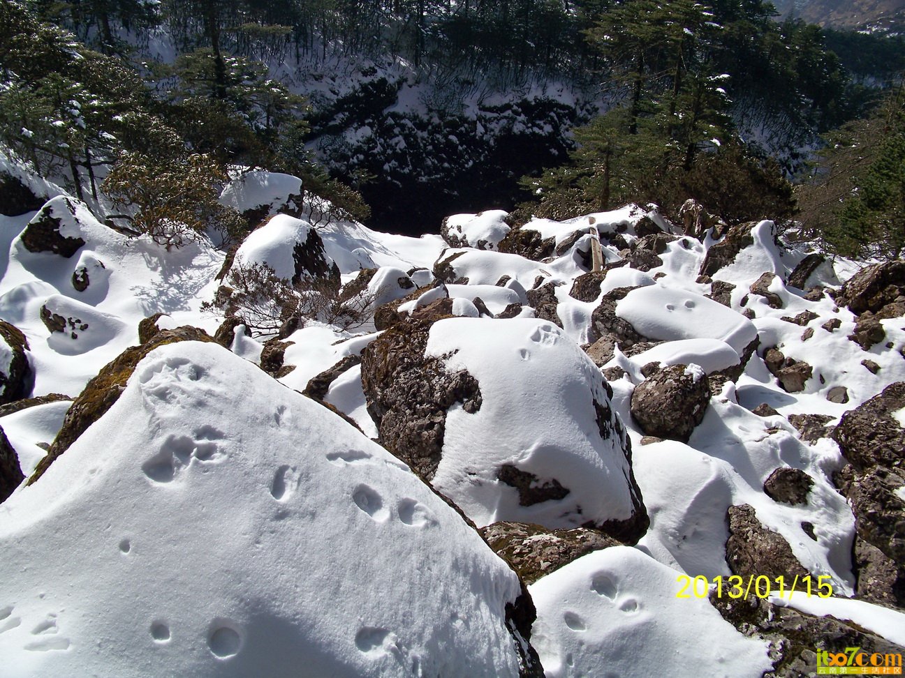 100_6023.JPG