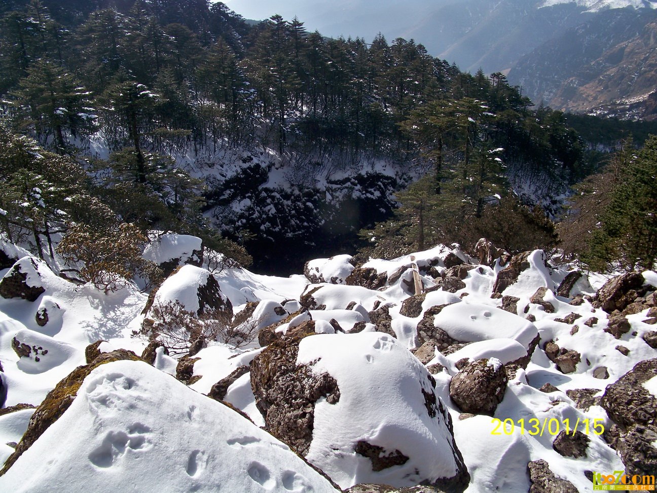100_6024.JPG