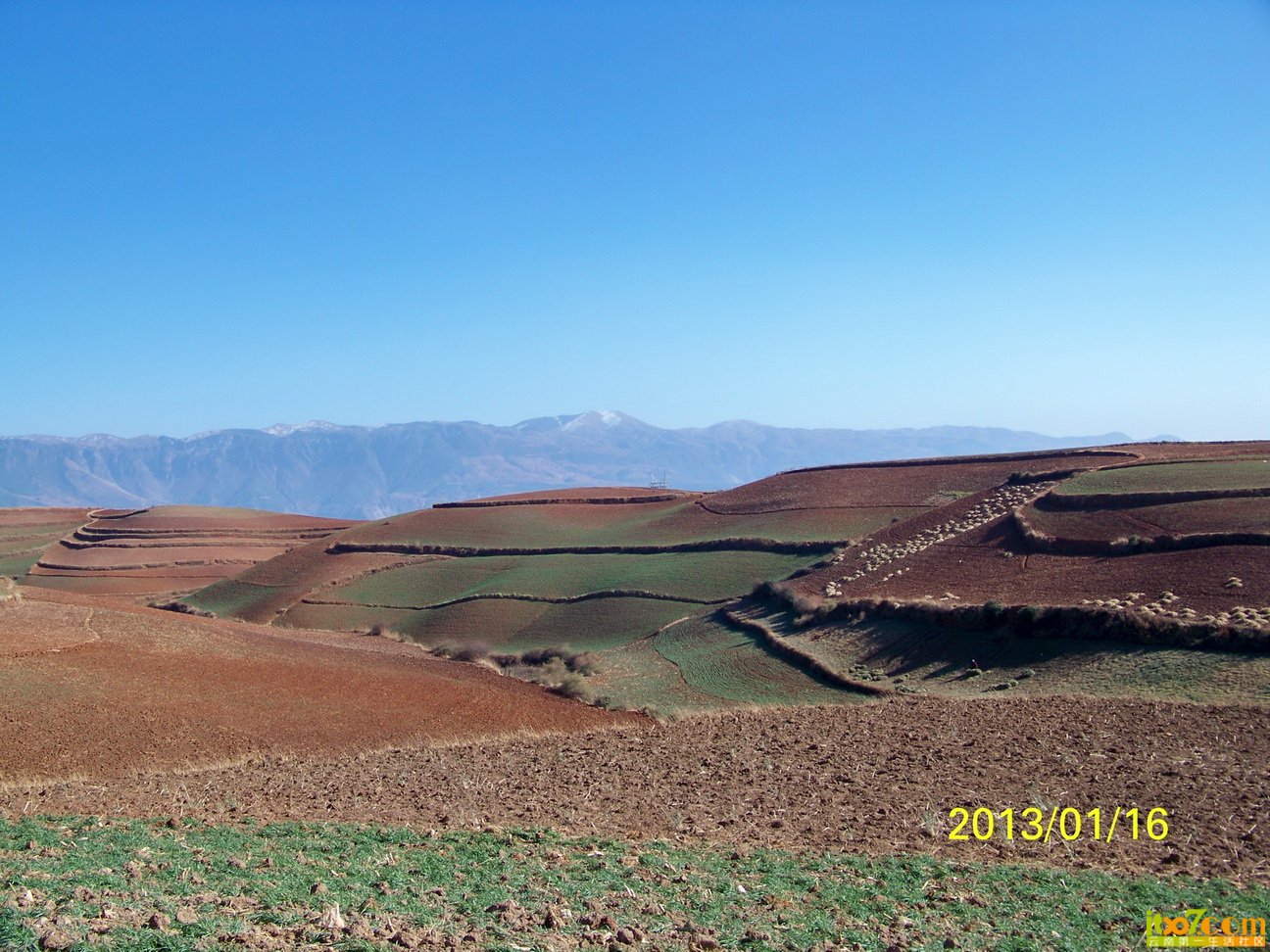 100_6182.JPG