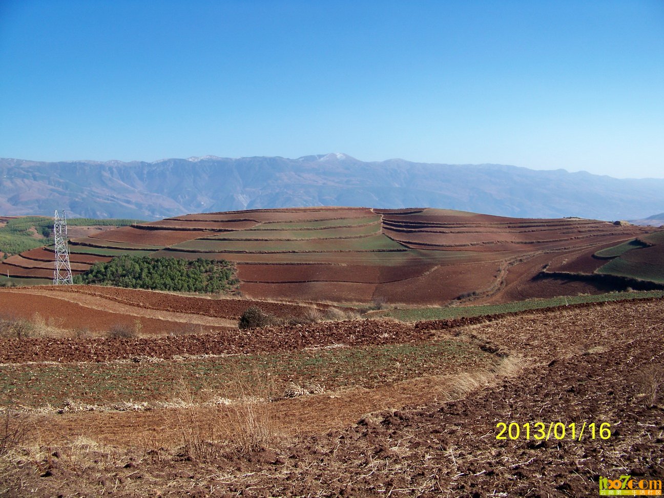 100_6184.JPG