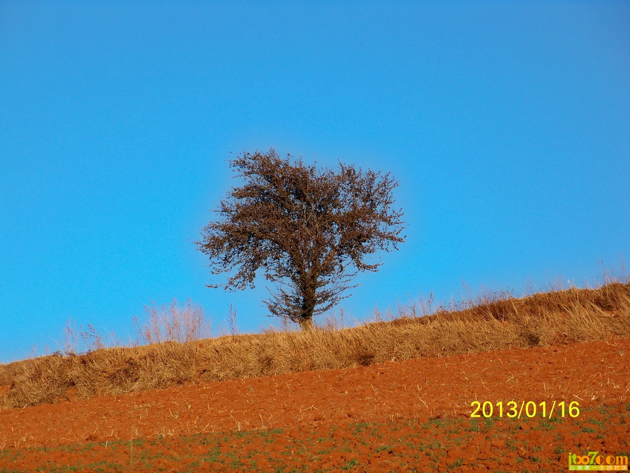 100_6216.JPG