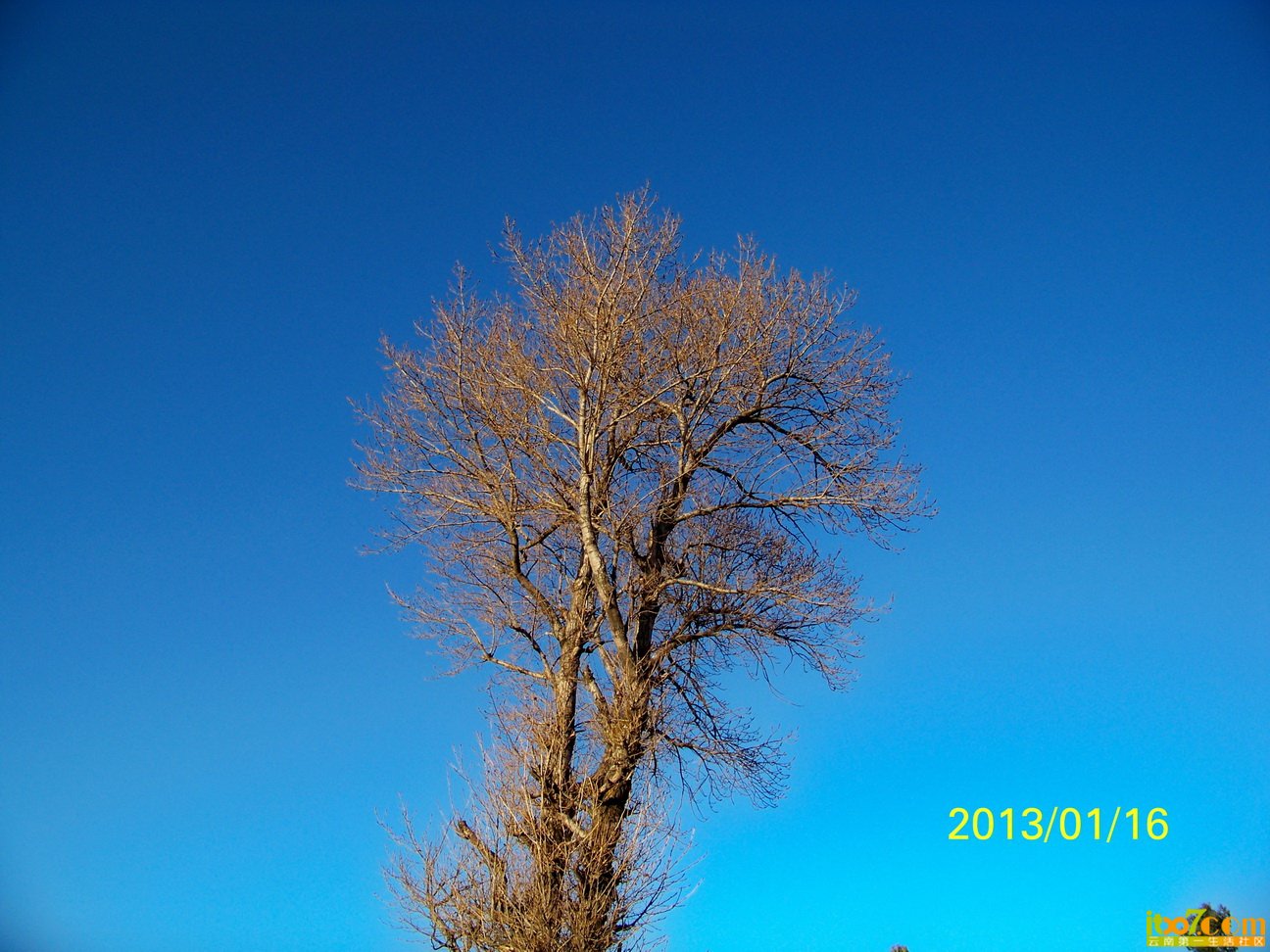 100_6217.JPG