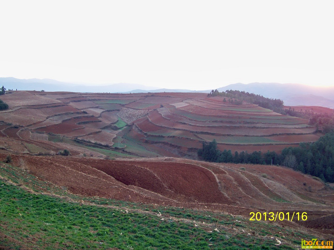 100_6235.JPG