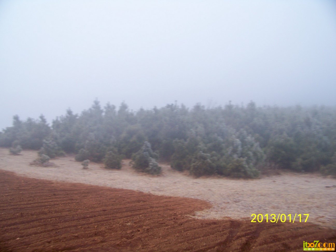 100_6252.JPG