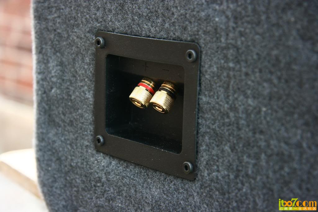 293.jpg