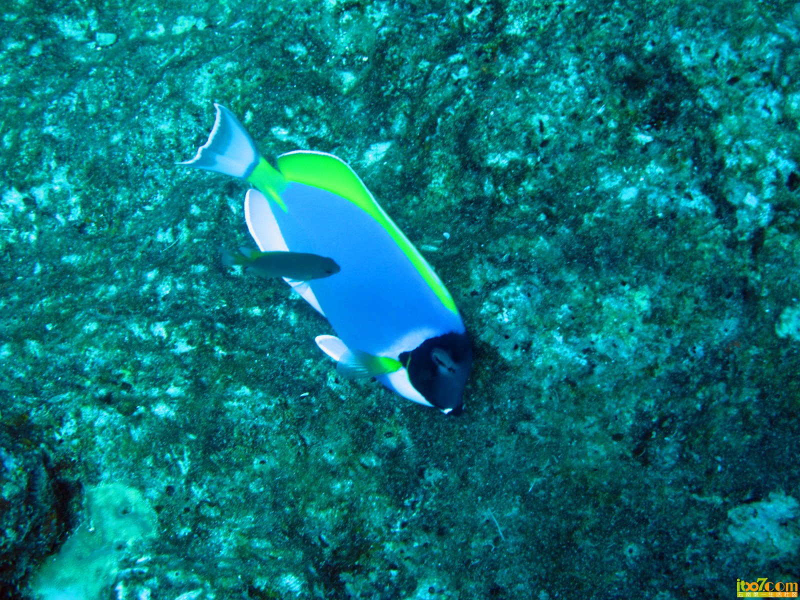 IMG_2690_副本.jpg