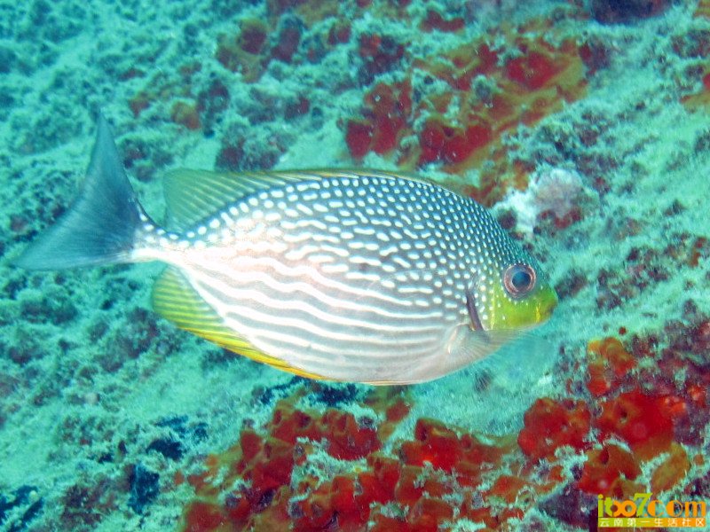IMG_3073_副本.jpg