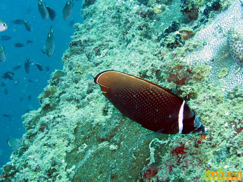 IMG_3075_副本.jpg