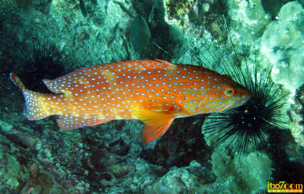 IMG_3161_副本.jpg