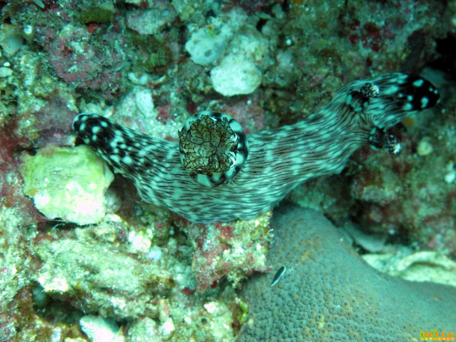 IMG_2582_副本.jpg