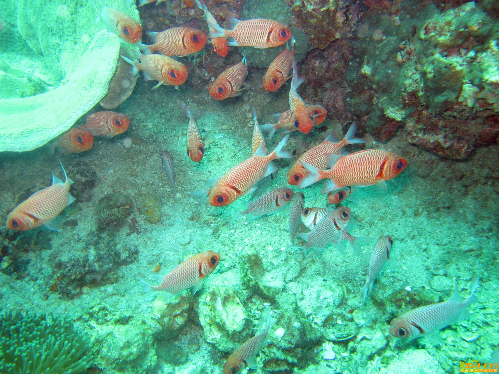 IMG_3154_副本.jpg