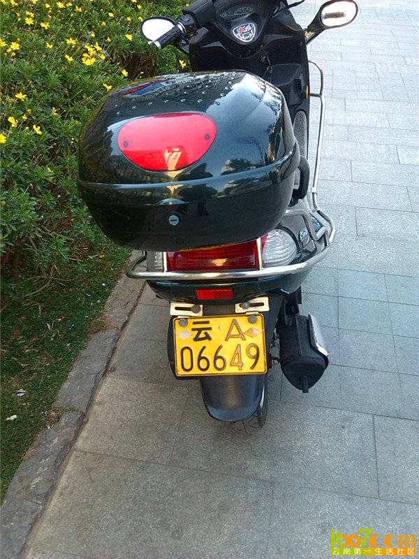 出带狗牌的踏板摩托上图了封