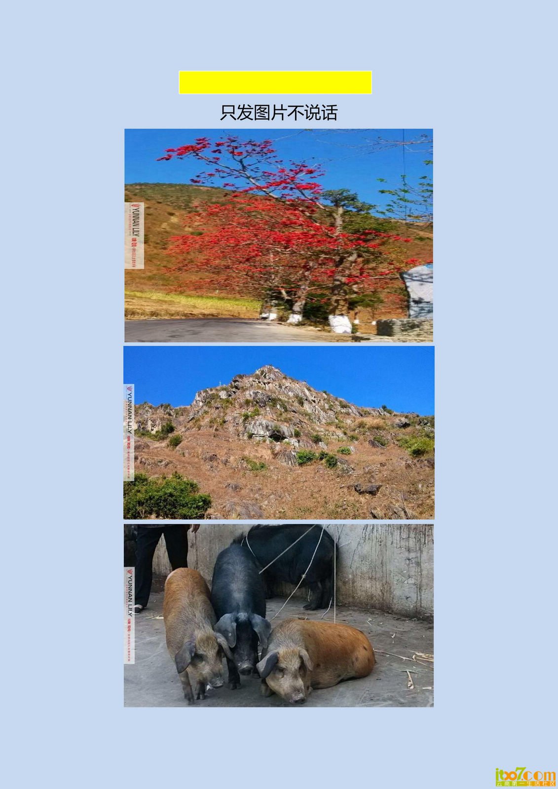 3013年春节怒江第一漂_01.jpg