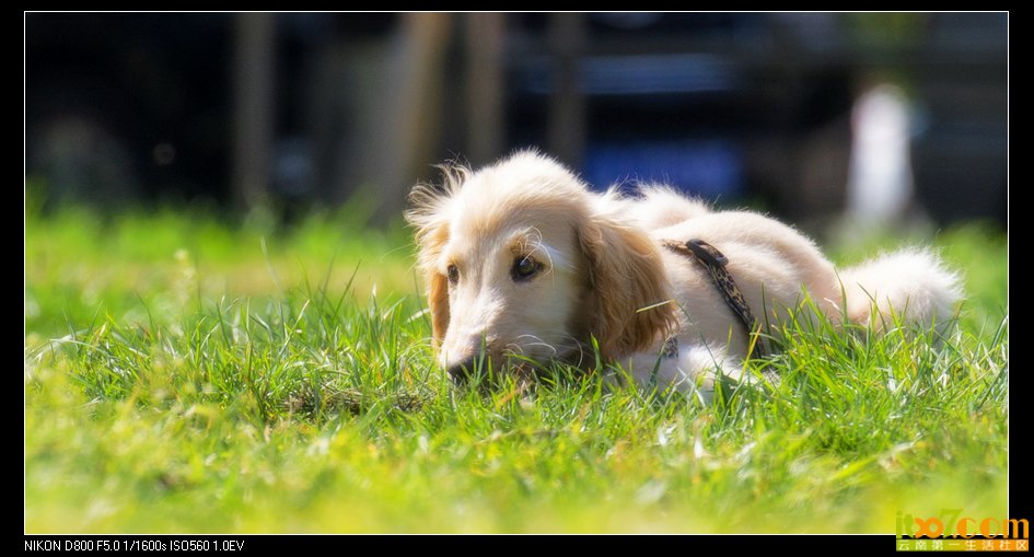 nEO_IMG__DSC2920.jpg