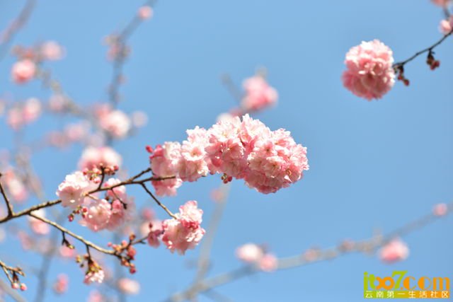 DSC_1925_副本.jpg