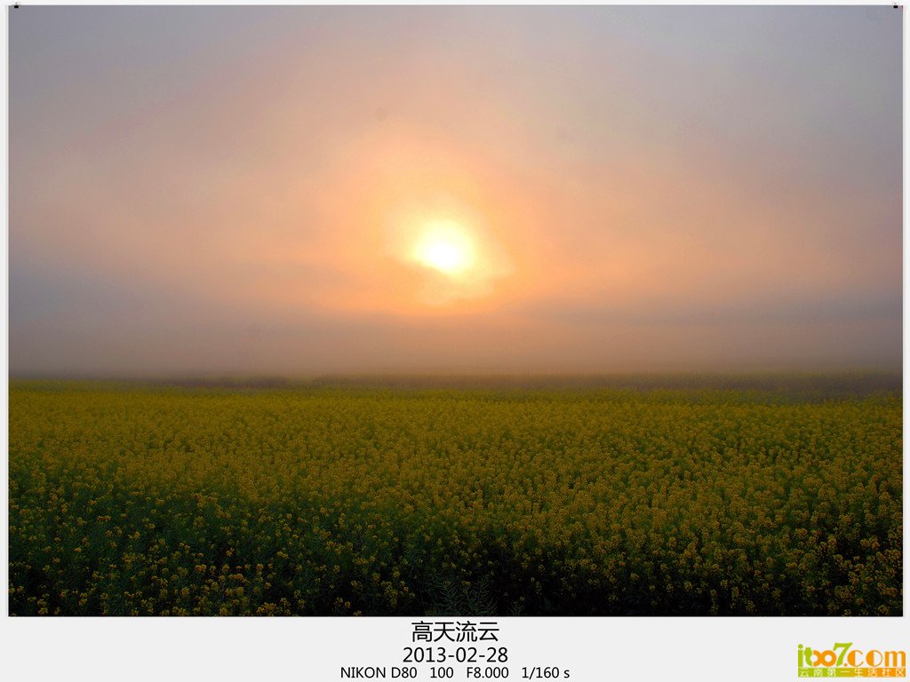 罗平 778_副本_副本_副本.jpg