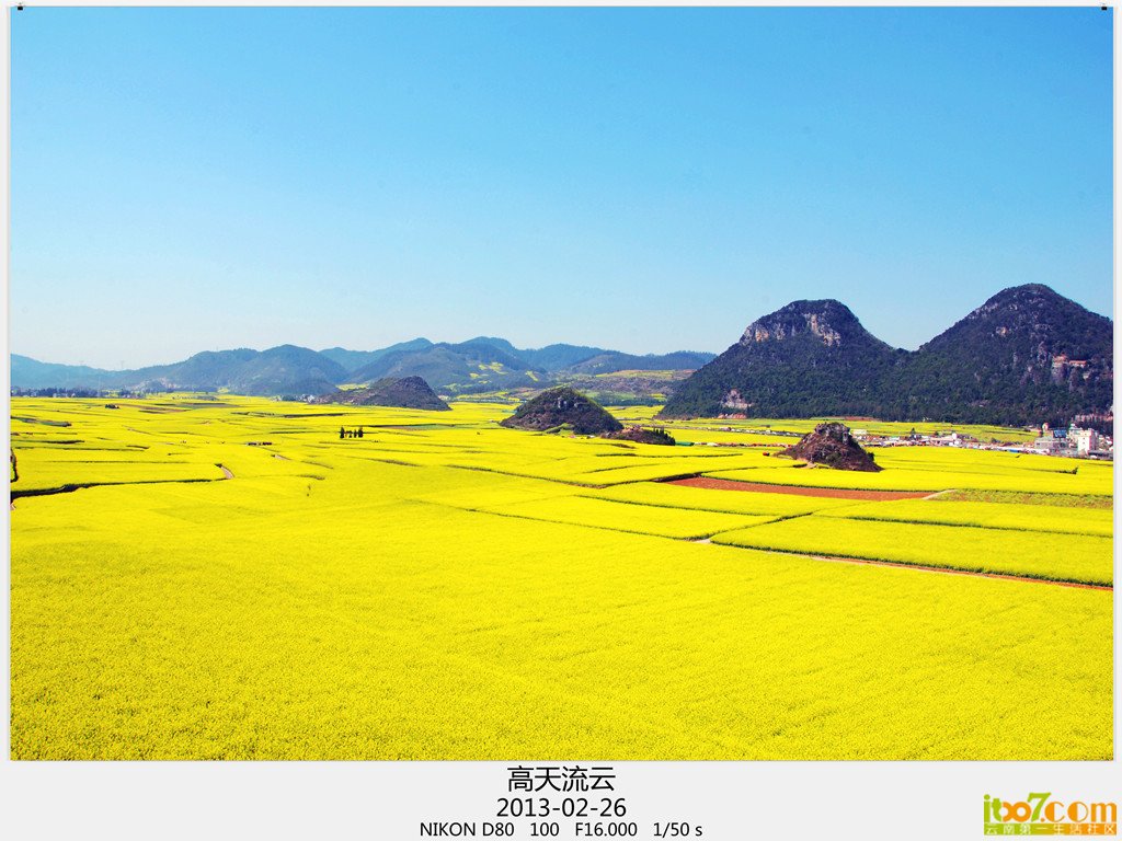 罗平 093_副本_副本_副本.jpg