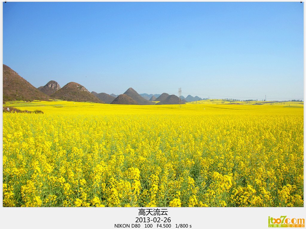 罗平 233_副本_副本_副本.jpg