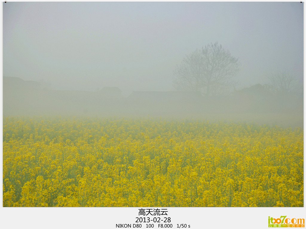 罗平 792_副本_副本_副本.jpg