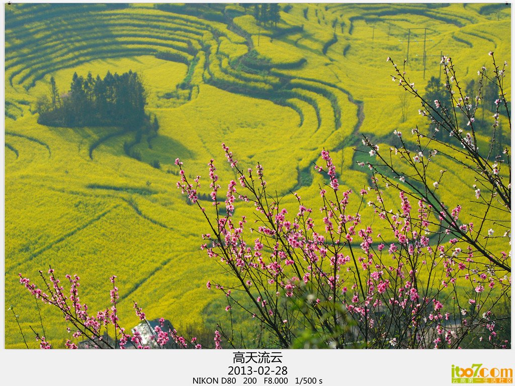 罗平 868_副本_副本_副本.jpg