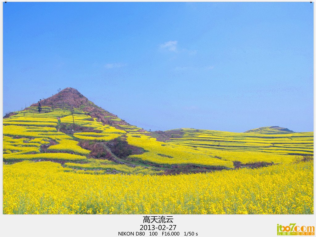 罗平 529_副本_副本_副本.jpg