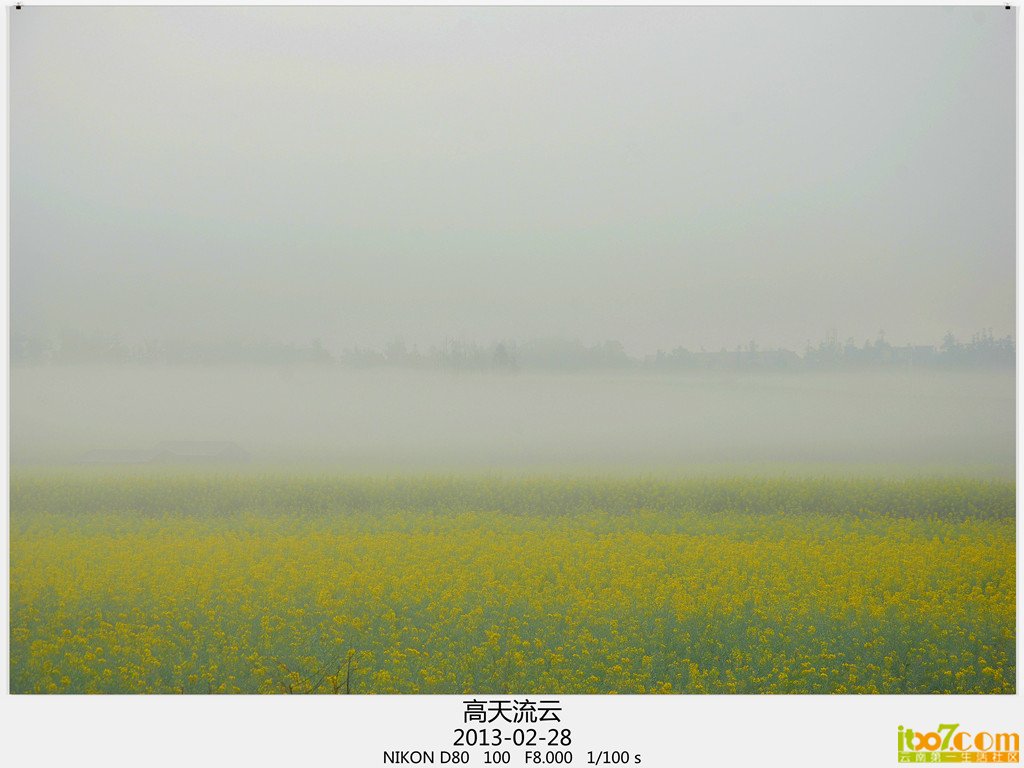 罗平 808_副本_副本_副本.jpg