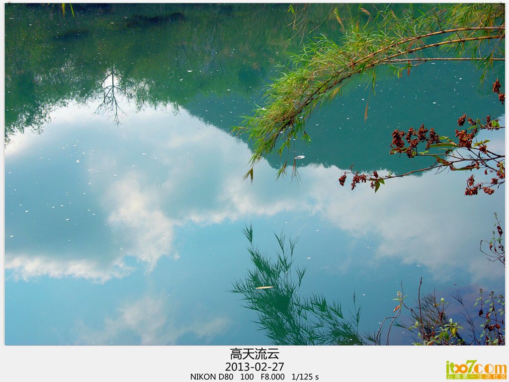罗平 363_副本_副本_副本.jpg