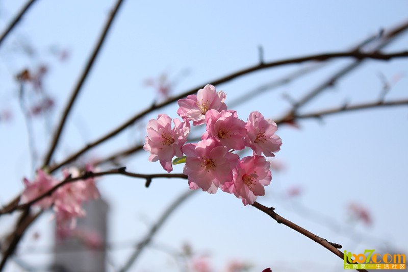IMG_0155_副本.jpg
