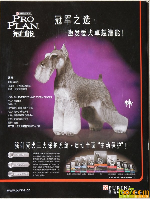 Peter封底.jpg