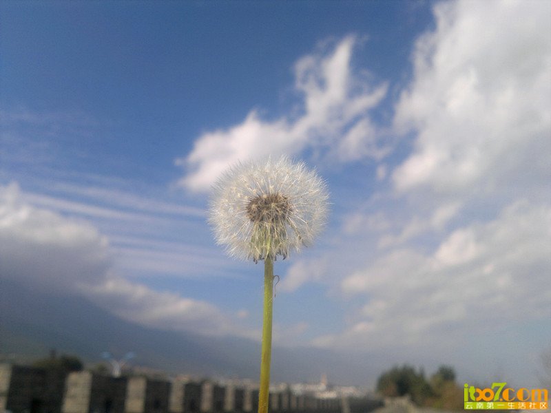 2012-12-11-314_副本_副本.jpg