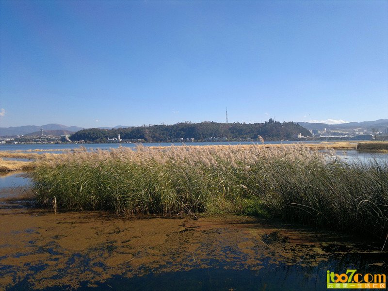 2012-12-23-342_副本_副本.jpg