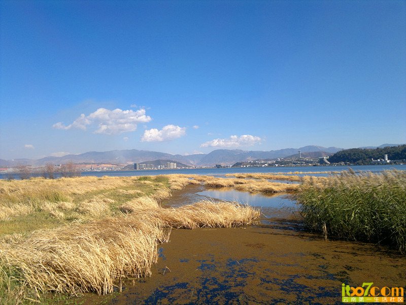 2012-12-23-348_副本_副本.jpg
