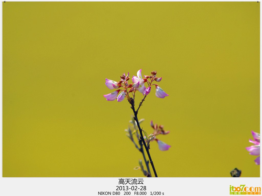 罗平 879_副本_副本_副本.jpg