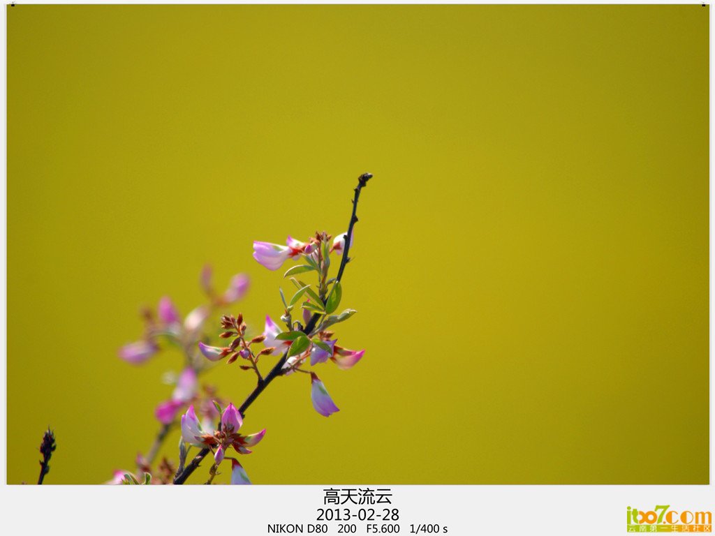 罗平 880_副本_副本_副本.jpg