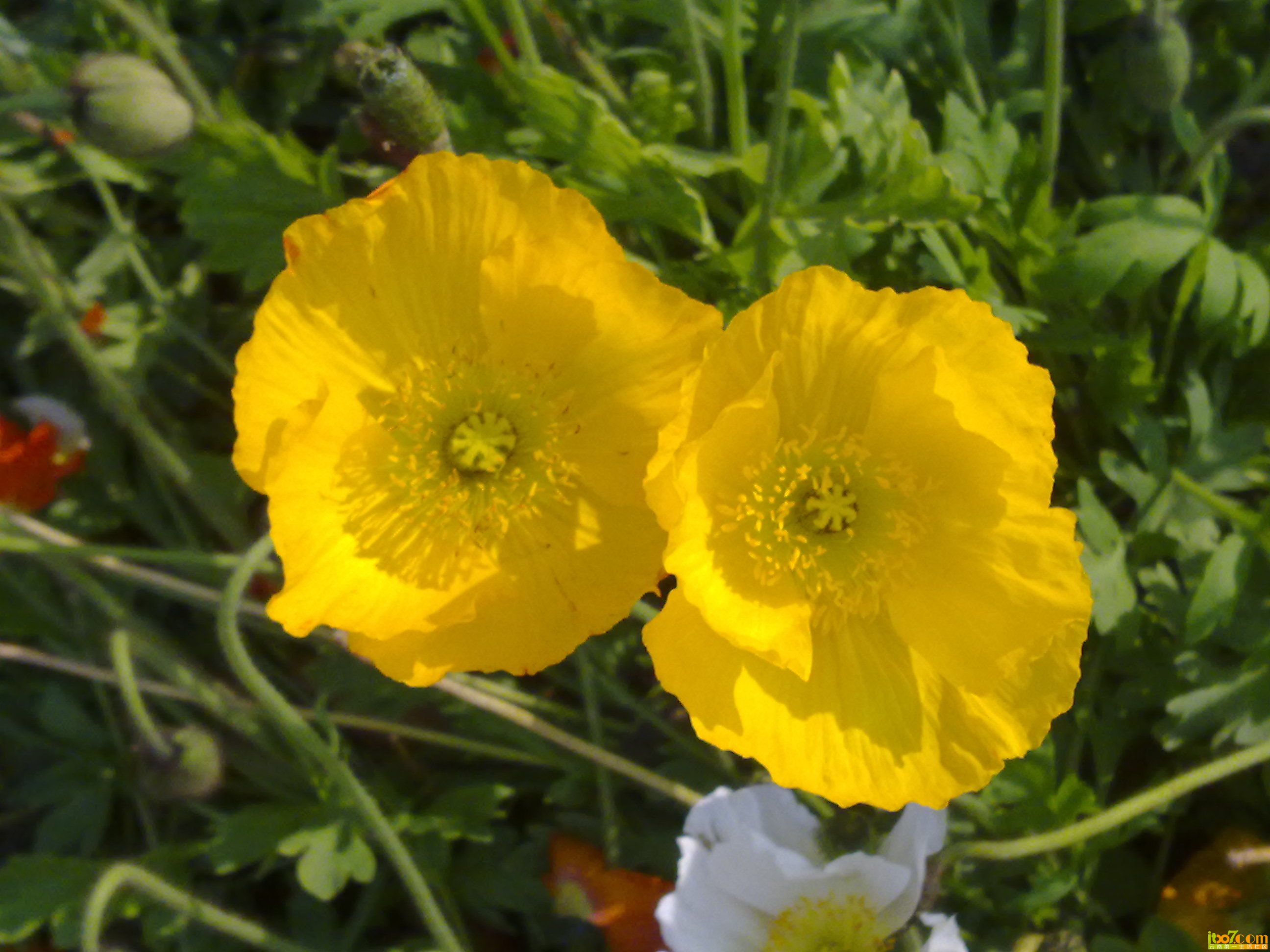 201303112838.jpg