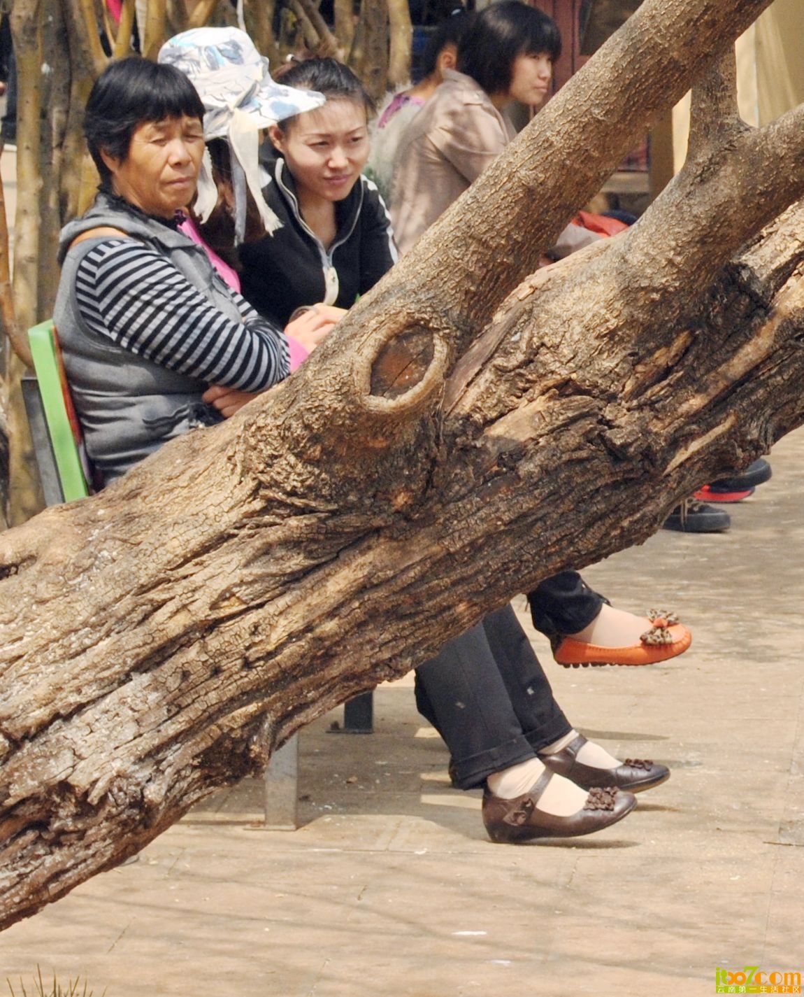 照片 163.jpg